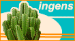 Euphorbia Ingens