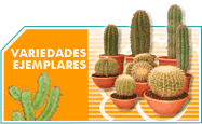 Variedades Ejemplares