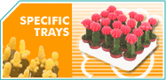 Specific Trays